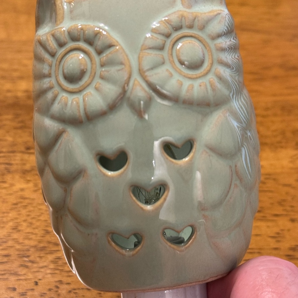 Scentsy Floral Wax Warmer w/ Wax Melts, non-Scentsy owl warmer & 2 Yankee Candle - Picture 7 of 16